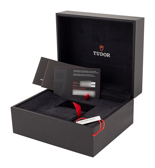 Tudor Black Bay 58 M79010SG-0002 Image 4